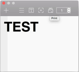 Enter a test content and click on the Print icon.